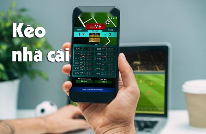 Nhà cái uy tín